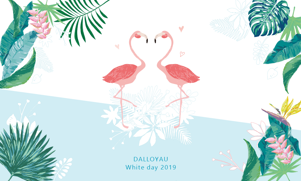 DALLOYAU “White Day 2019”